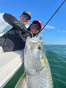 Fish Tarpon On in Sarasota!